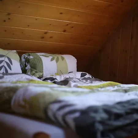 乡村民宿 Karkonoska *